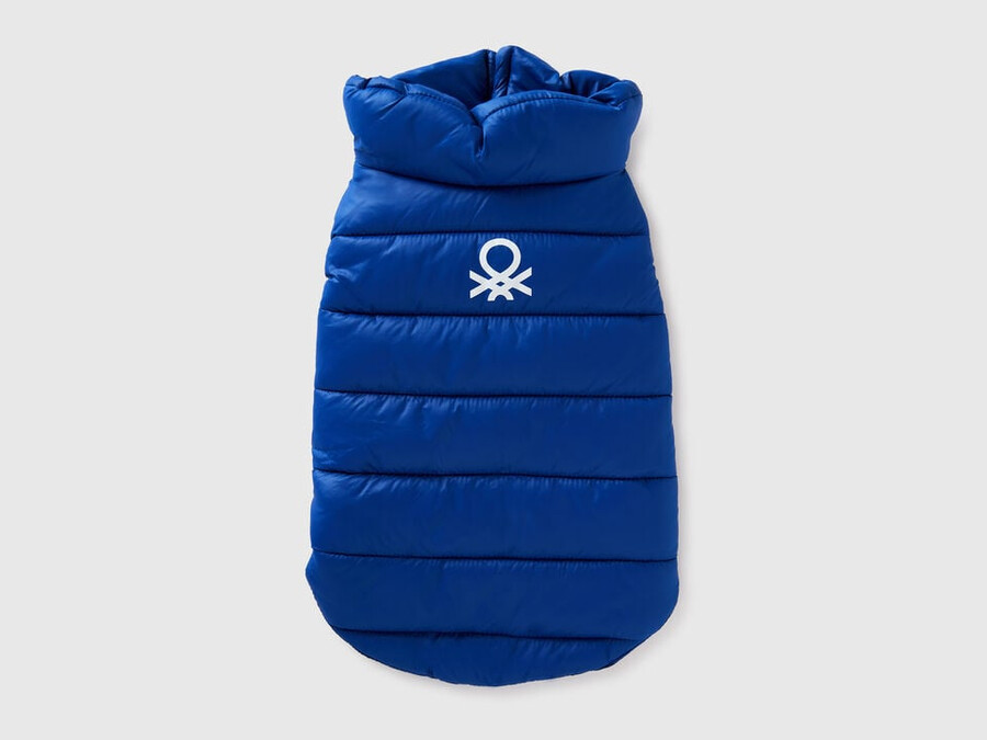 kornblumenblaue steppjacke für hunde