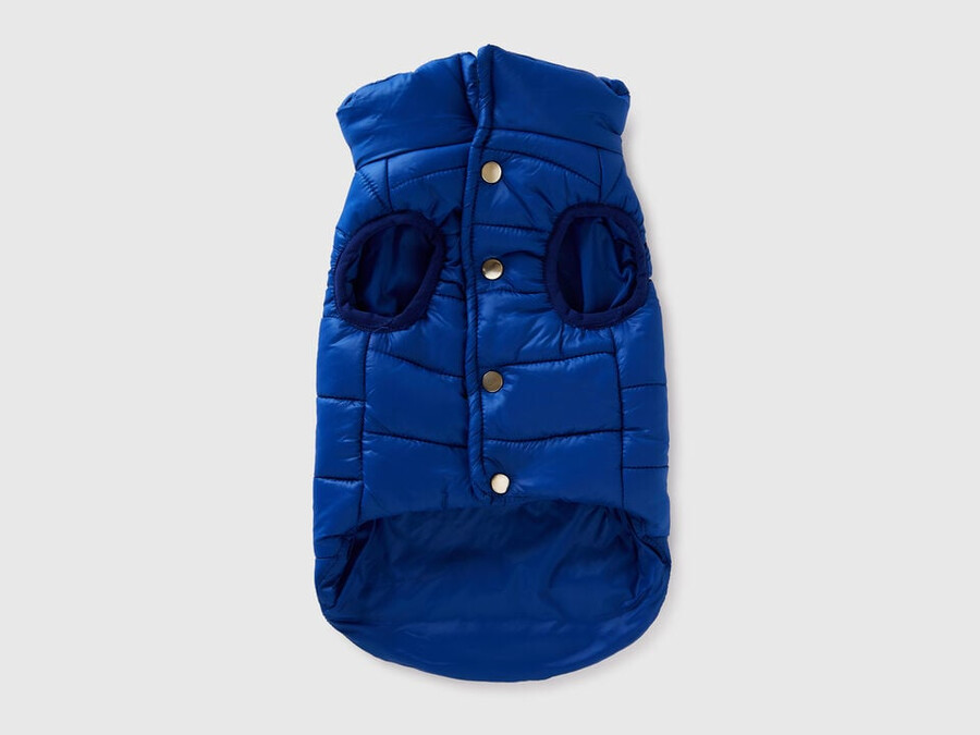 kornblumenblaue steppjacke für hunde