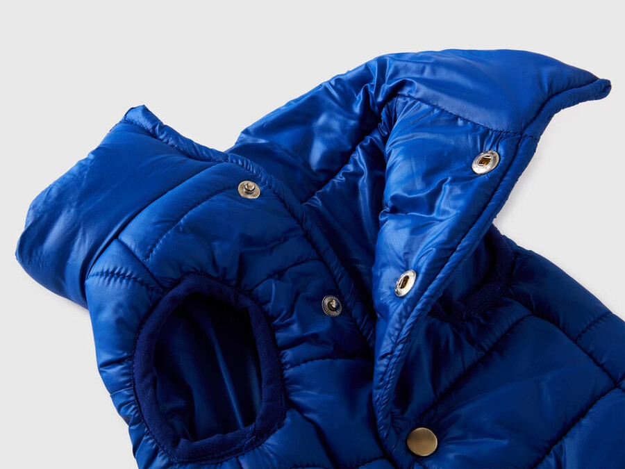 kornblumenblaue steppjacke für hunde